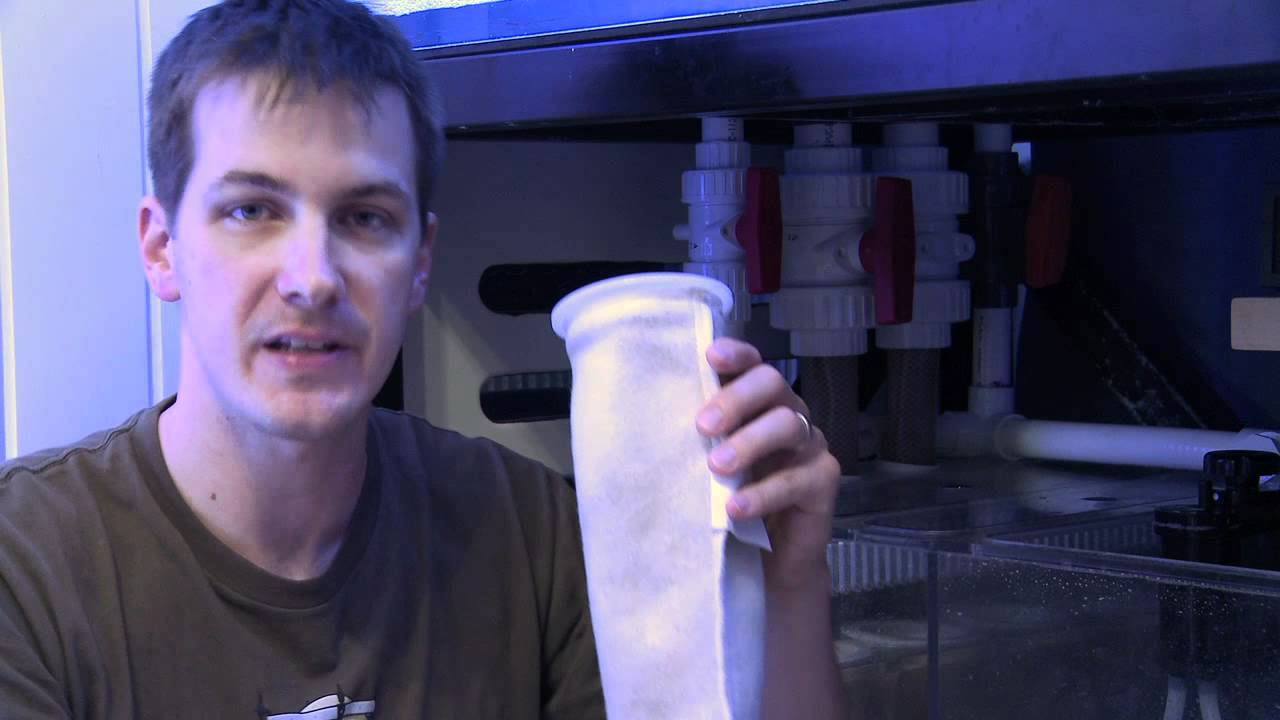 saltwater sushi & burger Mr. Saltwater Tank TV Friday Am Quick Tip #84: Look Before You Rinse