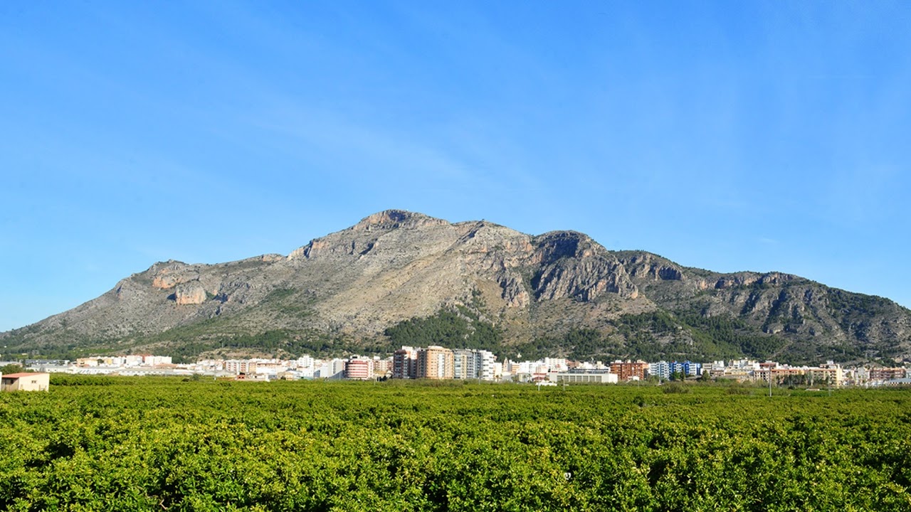 Sessió 9/2025 ordinària de la Junta de Govern Local de l’Ajuntament de Tavernes de la Valldigna