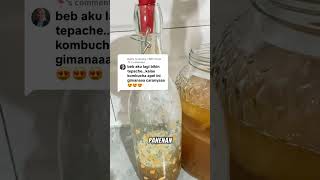 Kombucha Apel #applekombucha #kombucha #kebunkhaula