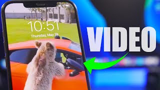 How to Set VIDEO as Lock Screen Wallpaper on iPhone (FREE & EASY) screenshot 3