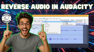 Hoe maak je een track mono in Audacity | Converteer stereo naar mono (2025)