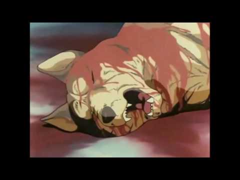 The Akita King Part 9 Stampede Rikis Death Gins Exile 