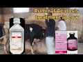 Ruminal Acidosis treatment in cow