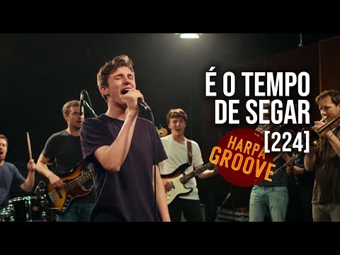 É o Tempo de Segar 🌾(224 Harpa Cristã) | Harpa Groove