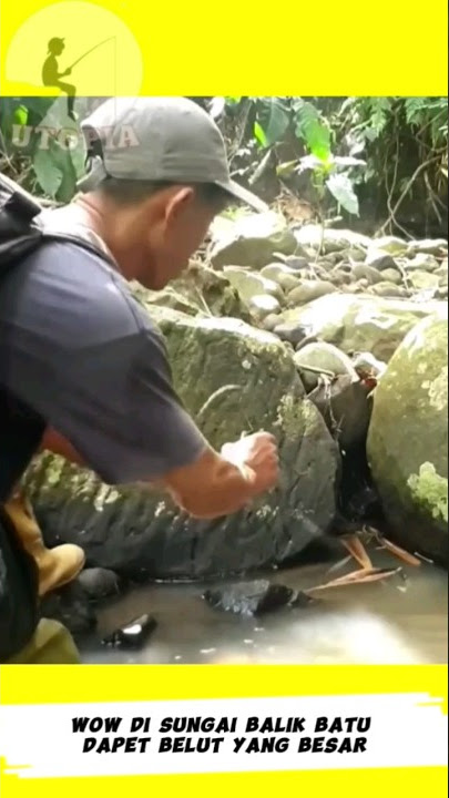 Berhasil Mancing Belut Sungai Di Bawah Bebatuan Besar #shortvideo #shortsvideo #shorts #short #viral