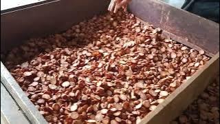 Usaha olahan Pinang Iris sederhana