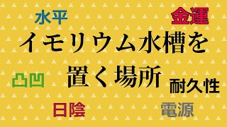 水槽を置く場所と方角のまとめ：今日のイモリウム2020年6月11日(232日目）