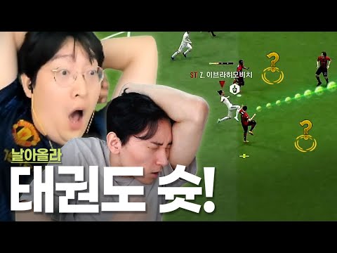 <strong>즐라탄</strong> 금카.. 날아서 <strong>태권도</strong> 슛 차는데요?