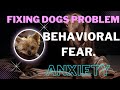fixing behavioral problems and fear and anxiety of dogs