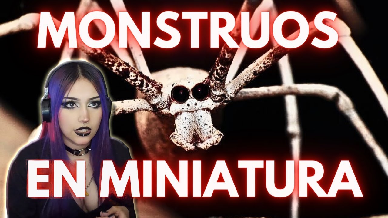 MONSTRUOS EN MINIATURA: TOP 6 horrores del mundo de los insectos | reacción a DAVITXENKO