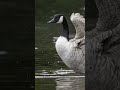 Creations big and small | Photolink Library