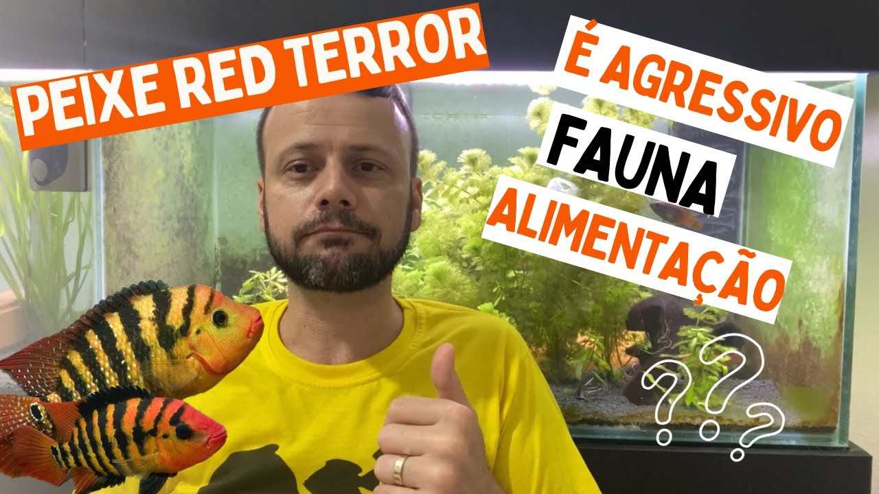 Red Terror File RED TERROR É AGRESSIVO ? QUAL PH ELE VIVE ? TUDO SOBRE ELE! - YouTube