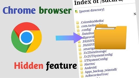 How to access file manager in chrome | google chrome hidden trick