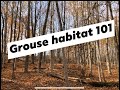 Improving Ruffed Grouse Partridge Habitat 
