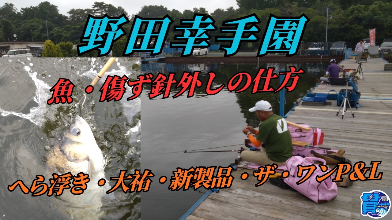 ✨How to remove a hook without harming the fish【Daisuke