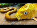 Stop Motion ASMR - Amazing Catch Big Koi fish In Mud Zig Zag eel Betta Primitive Cooking Cuckoo