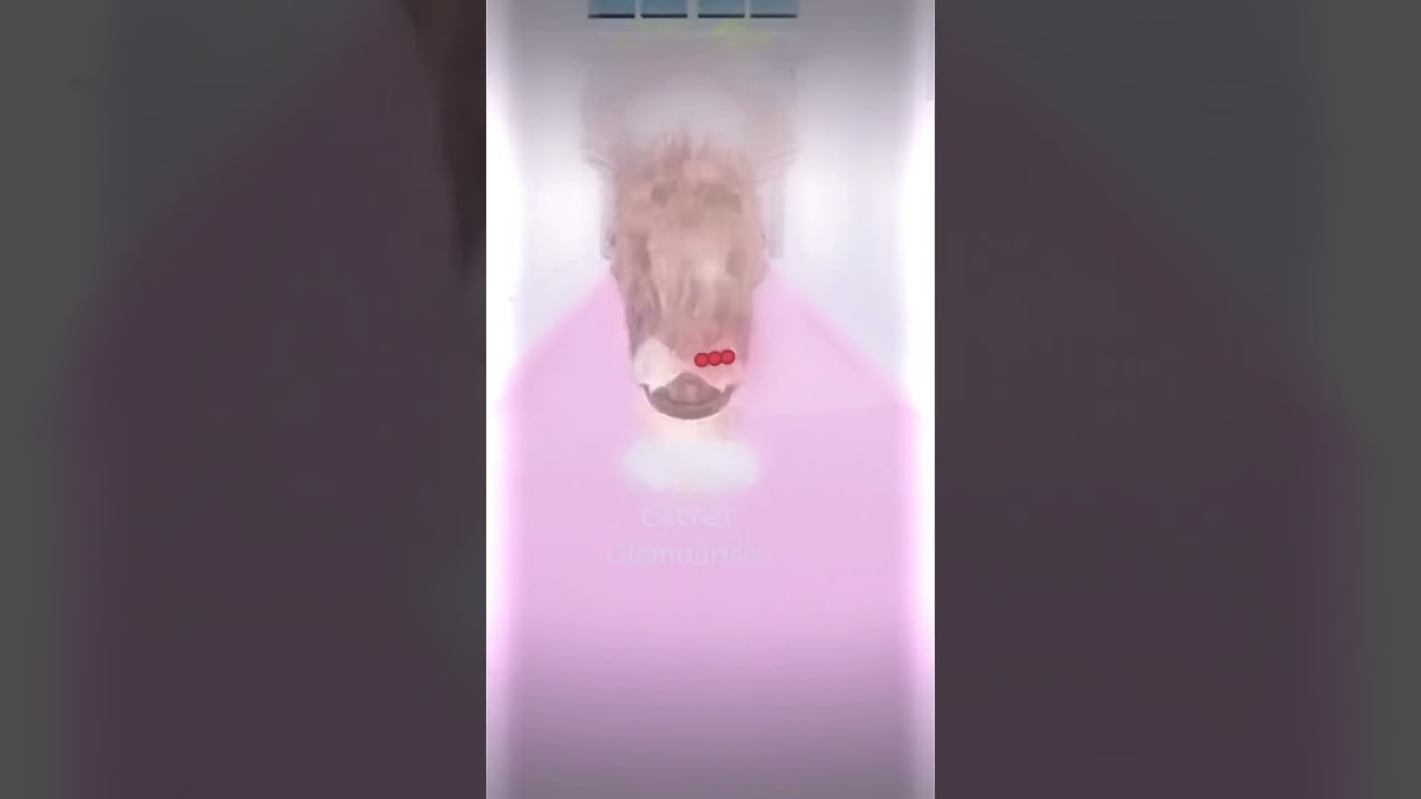 Who remembers when it was called fashion frenzy :') 