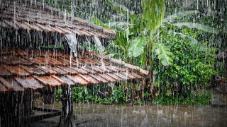 Peaceful Rainfall in a Rural Village - Heavy Rain & Thunder for Deep Sleep | Azure Droplet