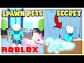 This SECRET PLACE GIVES FREE LEGENDARY PETS in Adopt Me! (Roblox)