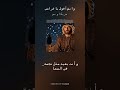وايش أقول يا غرامي معزوفة موسيقية خليجية