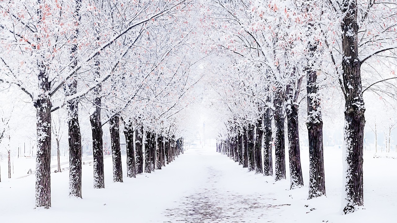 ВОССТАНОВЛЕНИЕ НЕРВНОЙ СИСТЕМЫ - Прекрасная зимняя музыка для снятия стресса и глубокого исцелени...