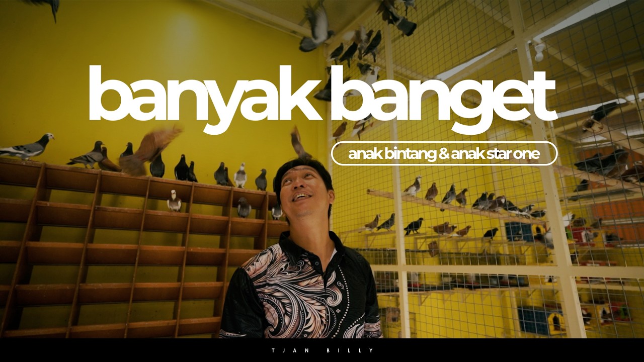 MITOS ATAU FAKTA KINERJA MERPATI MENURUN SAAT DI ANAKIN BHINEKA PART II