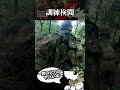 【自衛隊】目と目があう【７連隊公式】 #shorts