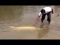 10 Ужасных Существ Реки Амазонка