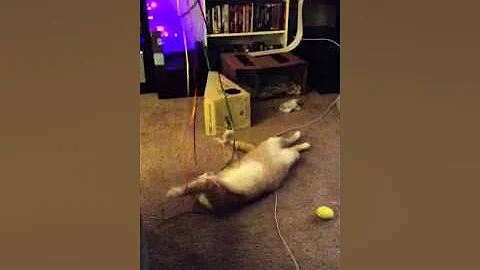 Thor plays with balloons