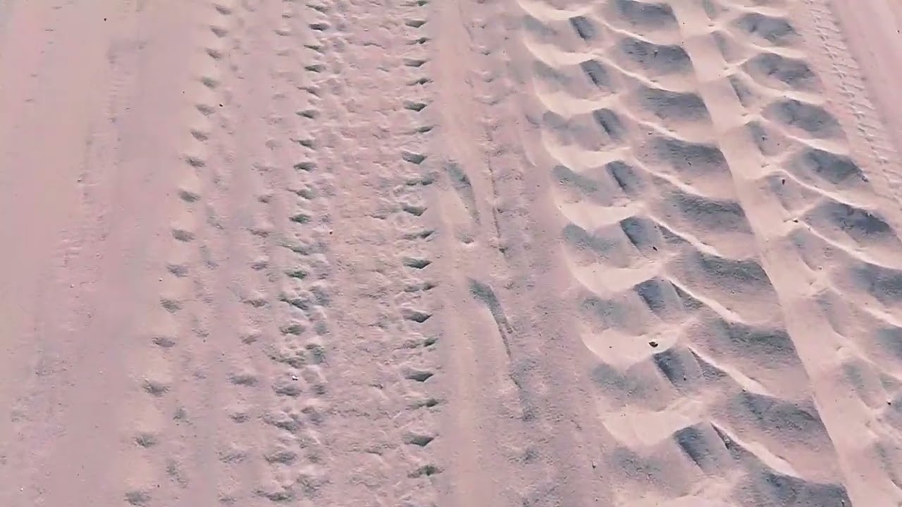 Exploring the sandy area in Saudi Arabia