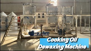 Edible Oil Winterization & Dewaxing Equipment Detailed Factory Walkthrough All Components Explained