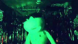 Kermit the G lip syncing DMX- Party Up 😈💚