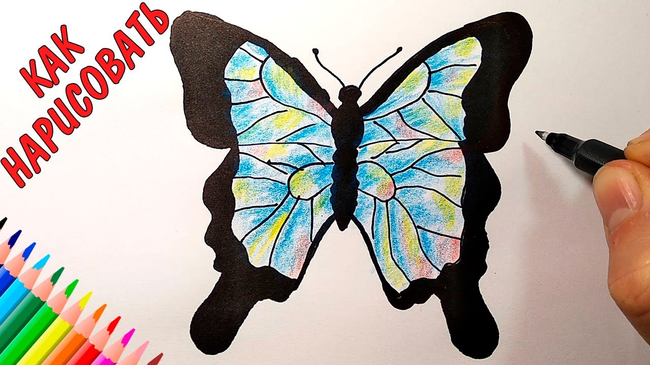 Как нарисовать КРАСИВУЮ БАБОЧКУ просто, Рисунки для начинающих - YouTube