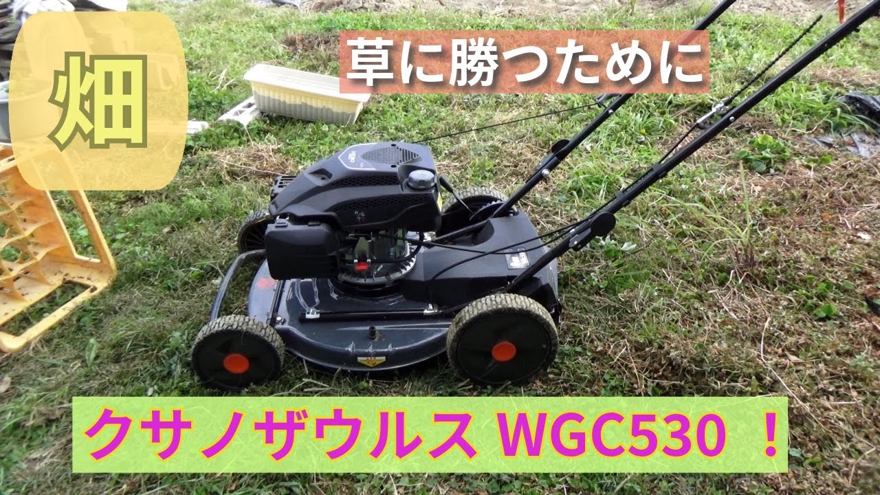 新兵器　PLOW クサノザウルスWGC530　買いました！！
