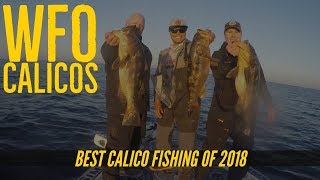 Ballast Point Fishing Team The Finale - Calico Bass Fishing at San Clemente Island