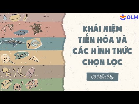 Khái niệm tiến hóa và các hình thức chọn lọc - Khoa học tự nhiên 9 - youtube