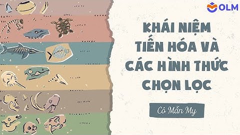 Khái niệm tiến hóa và các hình thức chọn lọc - Khoa học tự nhiên 9
