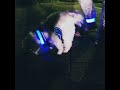 【犬用充電式LEDハーネス】プレミアムLEDドッグハーネス　BSEEN　ビーシーン　光るハーネス