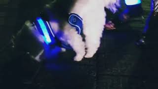 【犬用充電式LEDハーネス】プレミアムLEDドッグハーネス　BSEEN　ビーシーン　光るハーネス