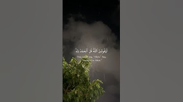 كلام الله بصوت خاشع يلامس المشاعر #quran #fortoupage #قران_كريم #تلاوة_خاشعة #اكسبلور #خشوع #قرآن