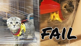 Cat Superhero vs Invisible, Foil and Box Challenges