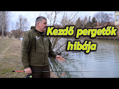 Videó: Kezdő delfin trollkodás alapjai