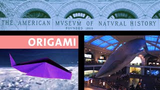 Origami At The Museum: Folding A Whale (Remix)