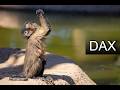 Dax Analyse 13.05.2026
