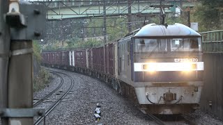 JR貨物EF210形EF210-170号機 旧塗装 北府中 2025/11/09