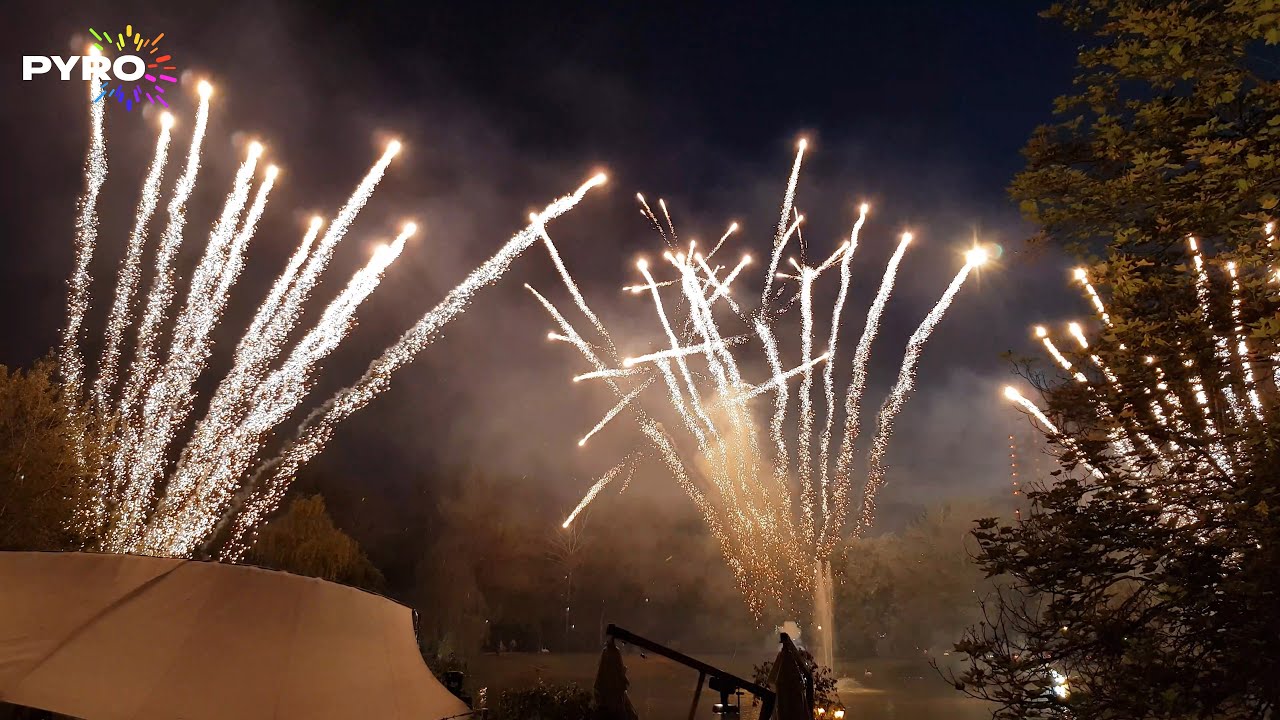 My Heart Will Go On - Celine Dion, 2761