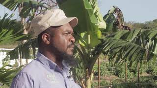 Download Lagu The importance of bees. MP3