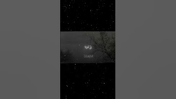 سورة آل عمران|169|القارئ:#محمد_اللحيدان #قران #quran #راحة_نفسية #قران_كريم#تلاوة_هادئة #تلاوة_خاشعة