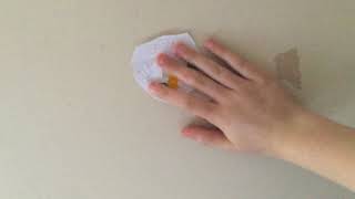 Destroying Sooty Dvd