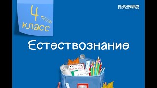 Естествознание. 4 класс. Какие бывают металлы. Что такое нерудные полезные ископаемые /01.03.2021/